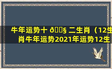 牛年运势十 🐧 二生肖（12生肖牛年运势2021年运势12生肖）